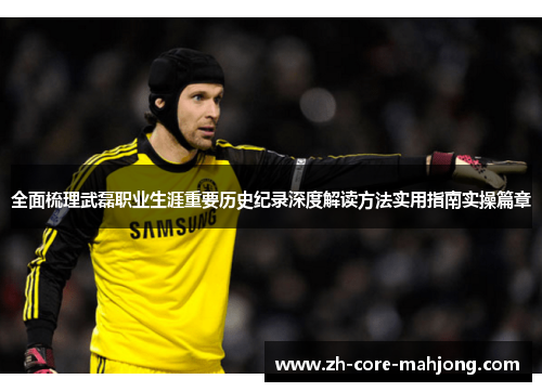 全面梳理武磊职业生涯重要历史纪录深度解读方法实用指南实操篇章