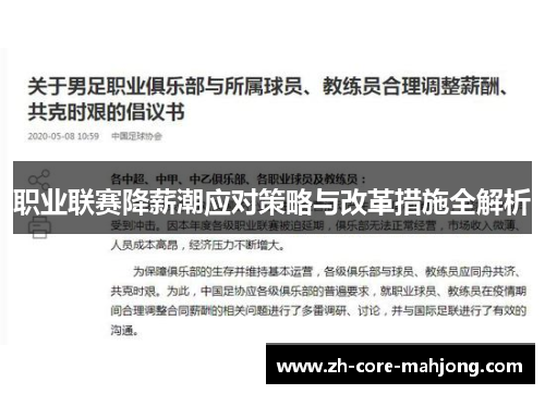 职业联赛降薪潮应对策略与改革措施全解析