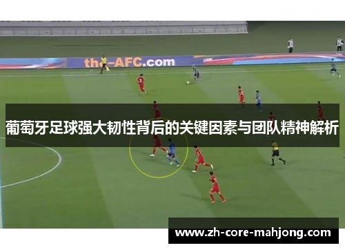 葡萄牙足球强大韧性背后的关键因素与团队精神解析