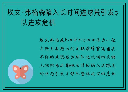 埃文·弗格森陷入长时间进球荒引发球队进攻危机